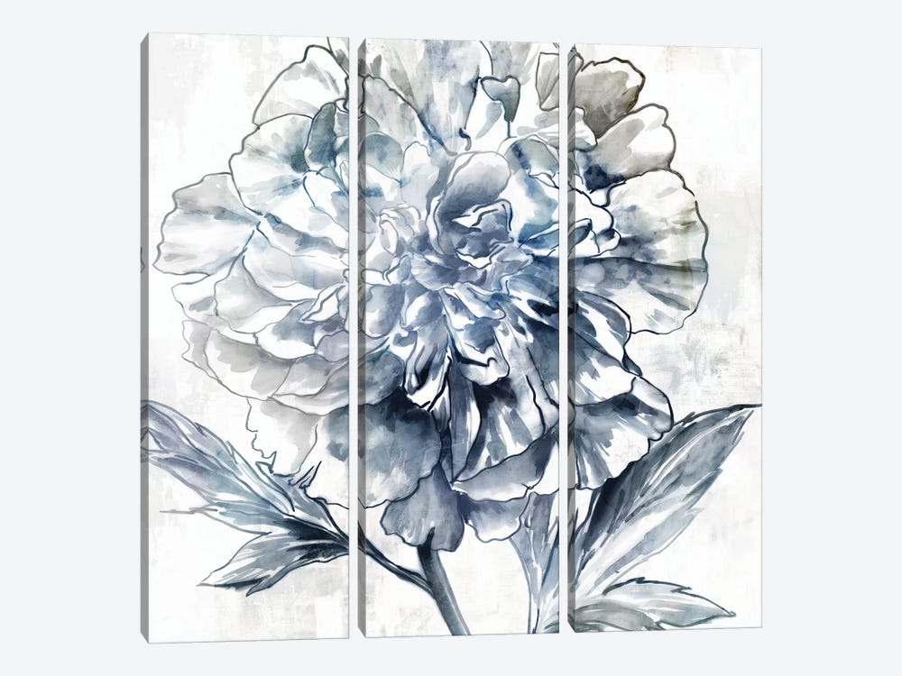 Japanese Peony II by Isabelle Z 3-piece Canvas Artwork