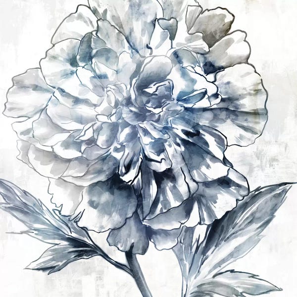 Peonies: Japanese Peony II by Isabelle Z