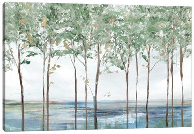 Forest Peak Canvas Art Print - Isabelle Z