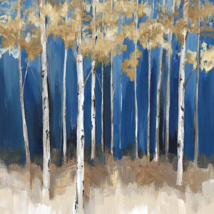 Midnight Indigo by Isabelle Z wall art