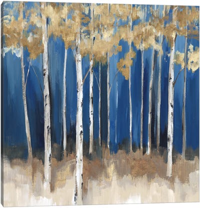 Midnight Indigo Canvas Art Print - Birch Tree Art