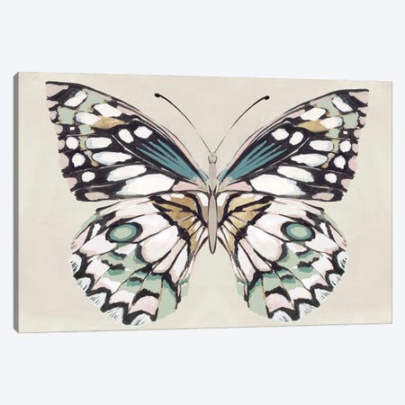 Butterfly's Kiss I Canvas Print #ZEE498} by Isabelle Z Art Print