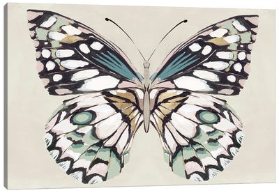 Butterfly's Kiss I Canvas Art Print - Isabelle Z