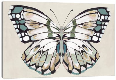 Butterfly's Kiss II Canvas Art Print - Isabelle Z