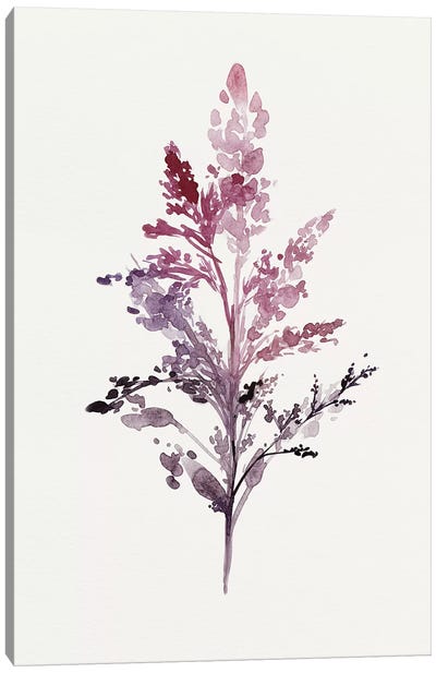 Botanical II Canvas Art Print - Isabelle Z