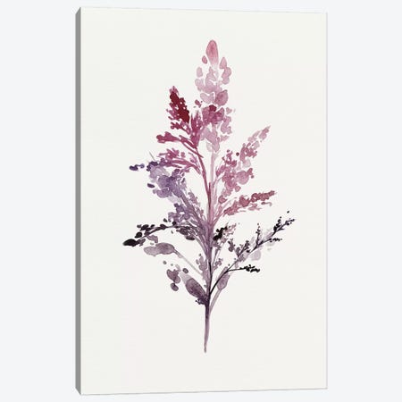 Botanical II Canvas Print #ZEE4} by Isabelle Z Art Print