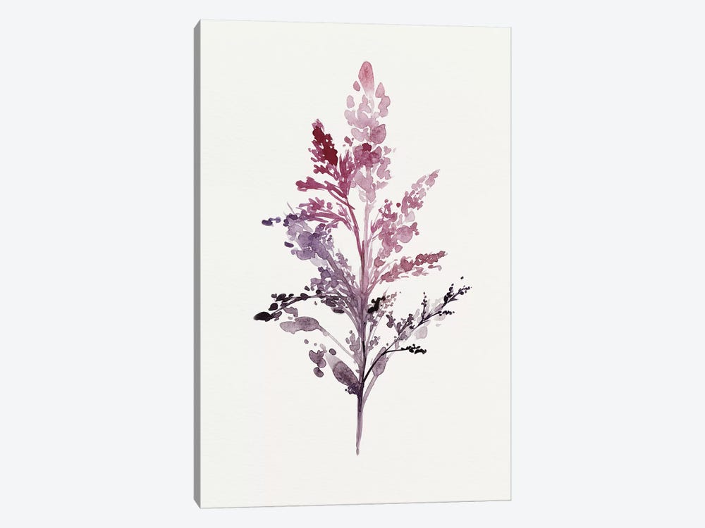 Botanical II by Isabelle Z 1-piece Art Print