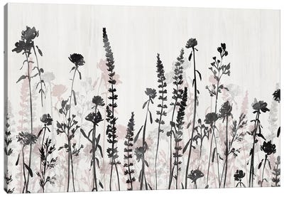Wildflower Garden Canvas Art Print - Isabelle Z