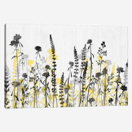 Wildflower Garden Yellow Version Canvas Print #ZEE563} by Isabelle Z Canvas Art Print