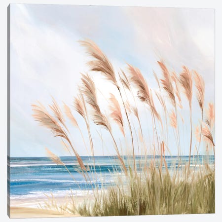 Beach Pampas Canvas Print #ZEE567} by Isabelle Z Canvas Artwork