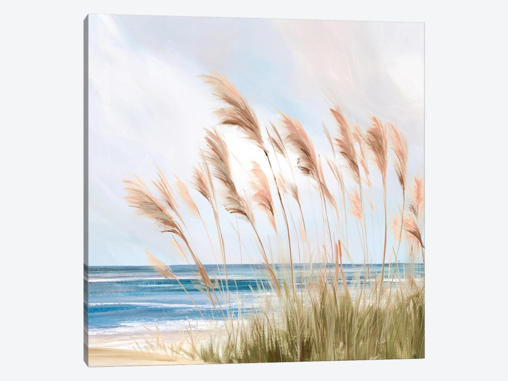 Beach Pampas by Isabelle Z 1-piece Canvas Print