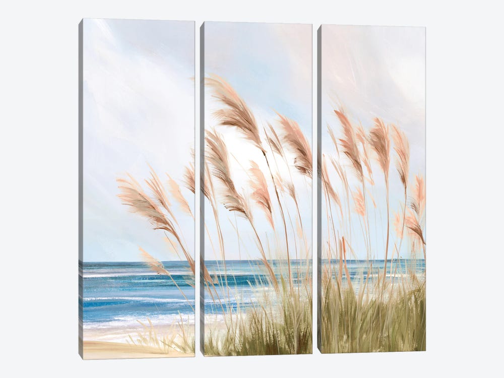 Beach Pampas 3-piece Canvas Art Print