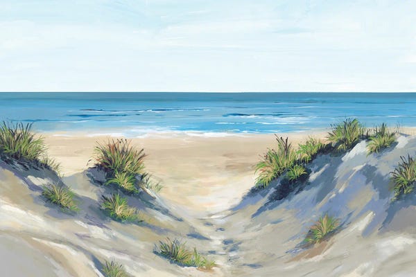 Coastal Sand Dunes: Beach Sand Dune I by Isabelle Z