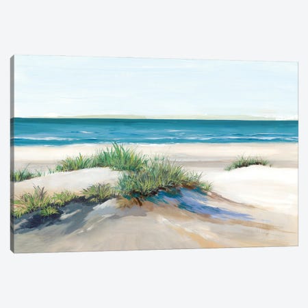 Beach Sand Dune II Canvas Print #ZEE569} by Isabelle Z Canvas Print