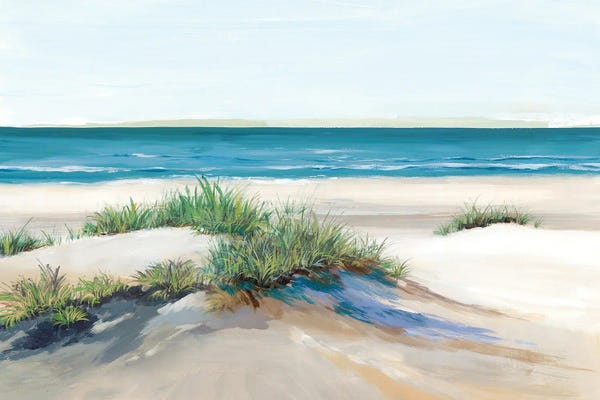 Coastal Sand Dunes: Beach Sand Dune II by Isabelle Z