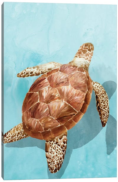 Ocean Deep Turtle I Canvas Art Print - Isabelle Z