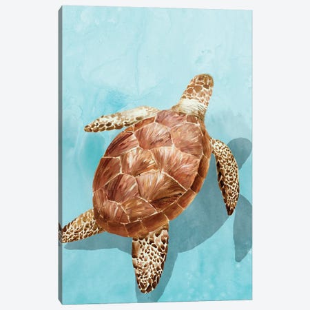 Ocean Deep Turtle I Canvas Print #ZEE586} by Isabelle Z Canvas Artwork