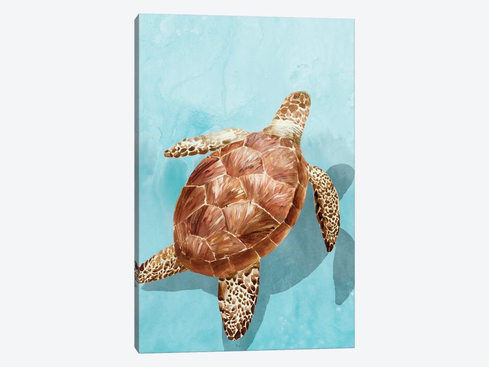 Ocean Deep Turtle I by Isabelle Z 1-piece Canvas Wall Art