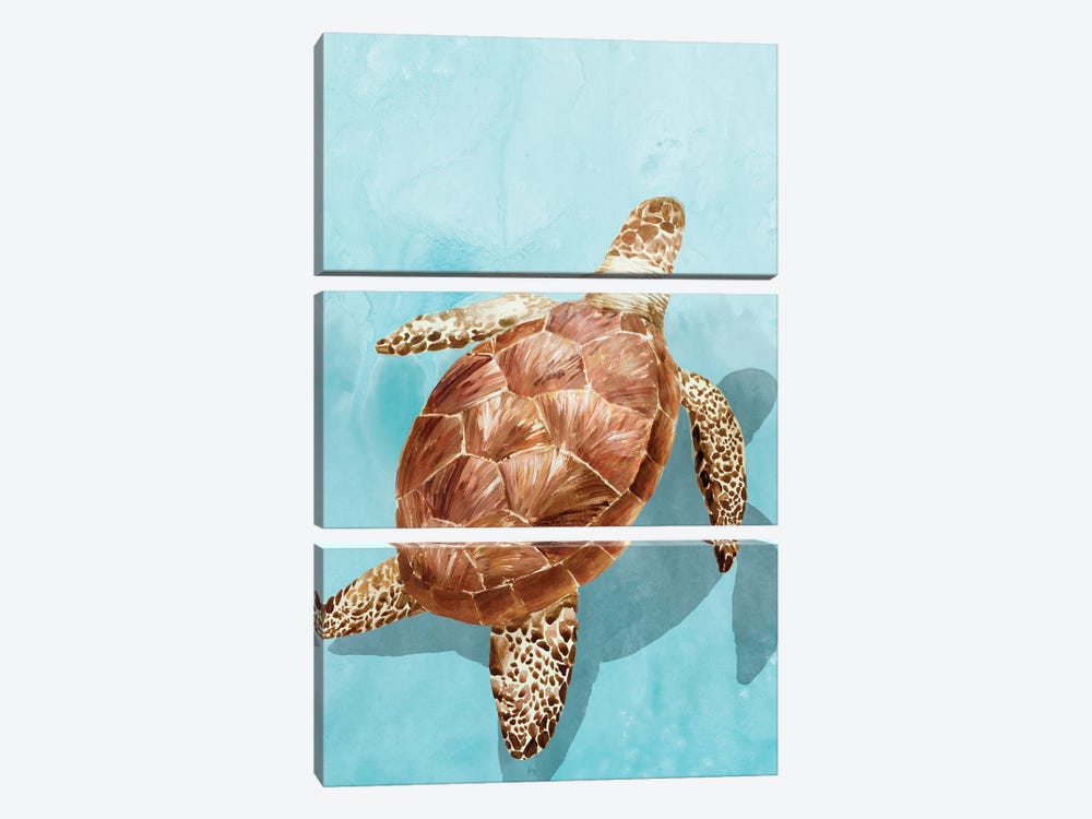 Ocean Deep Turtle I by Isabelle Z 3-piece Canvas Wall Art