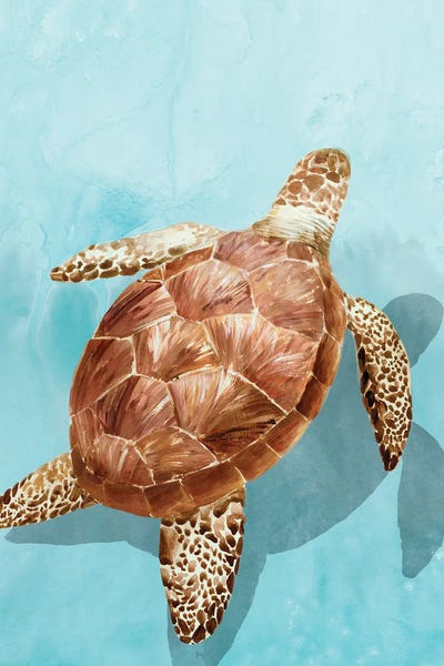 Turtles: Ocean Deep Turtle I by Isabelle Z