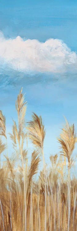 Pampas I by Isabelle Z wall art