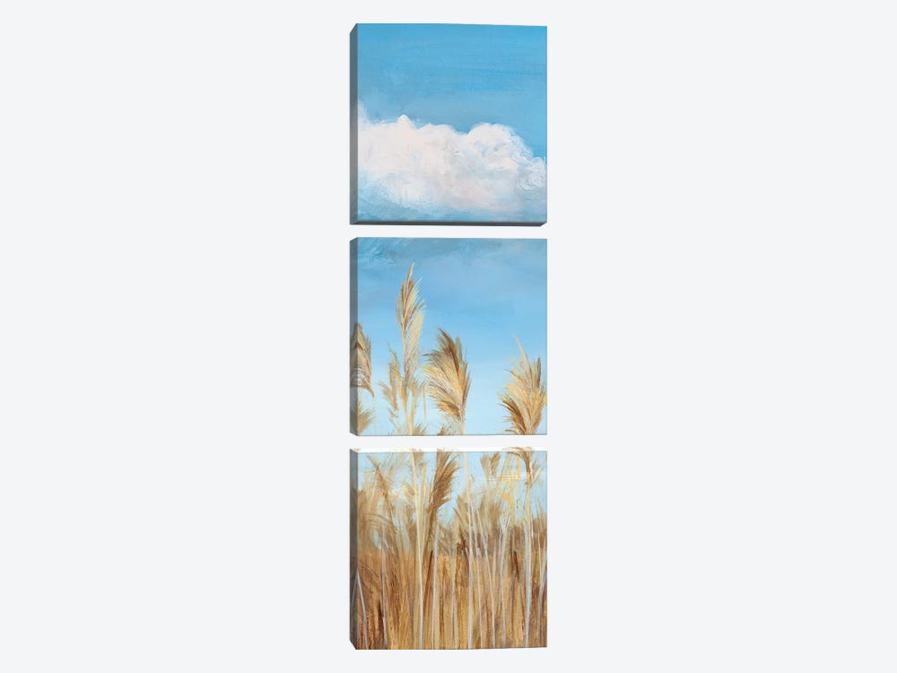 Pampas I by Isabelle Z 3-piece Canvas Print
