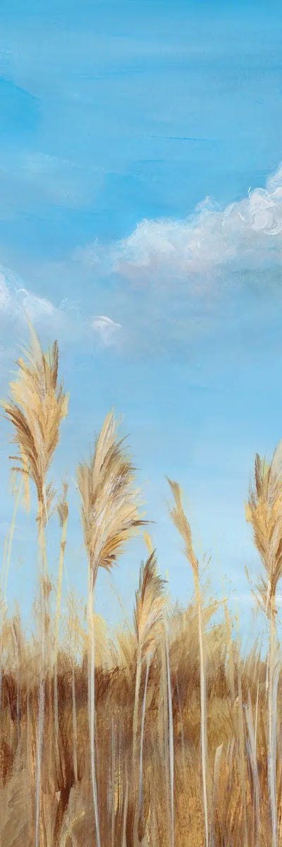 Pampas II by Isabelle Z multi panel art