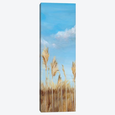 Pampas II Canvas Print #ZEE590} by Isabelle Z Canvas Wall Art