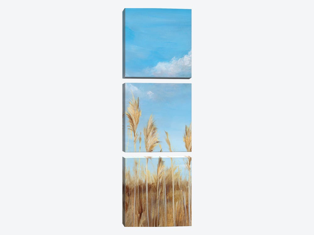 Pampas II by Isabelle Z 3-piece Canvas Print