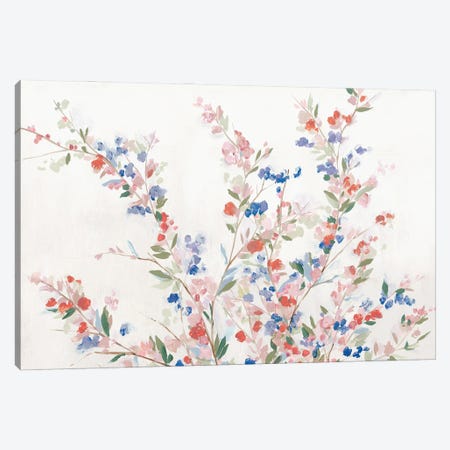 Starry Blossoms Canvas Print #ZEE597} by Isabelle Z Canvas Print