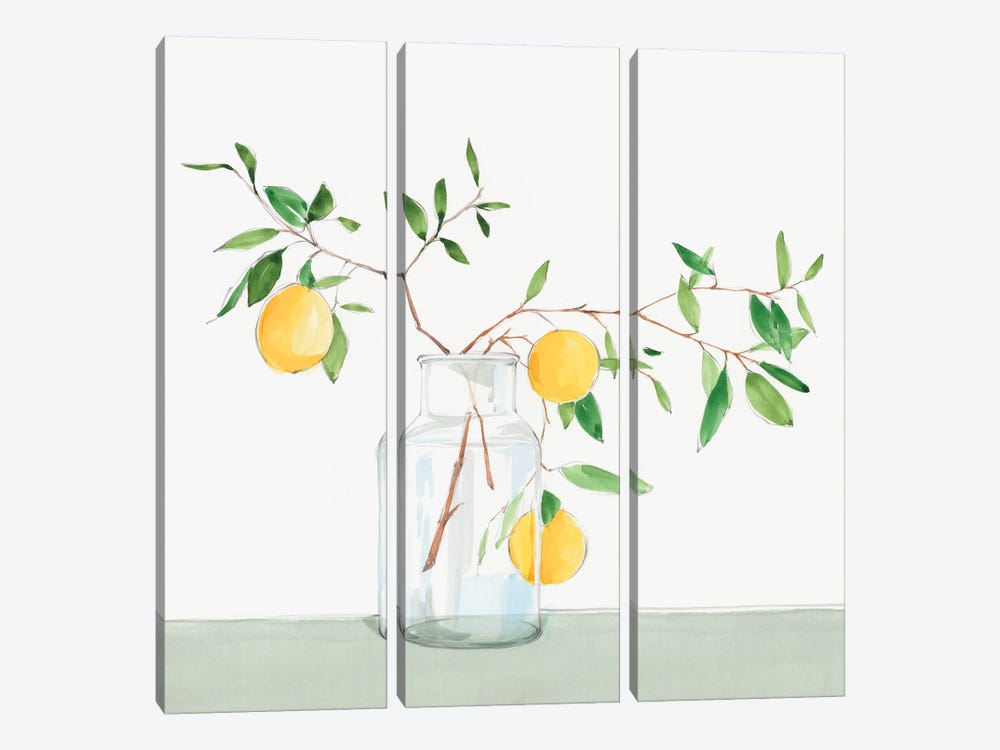 Sweet Lemonade by Isabelle Z 3-piece Canvas Artwork