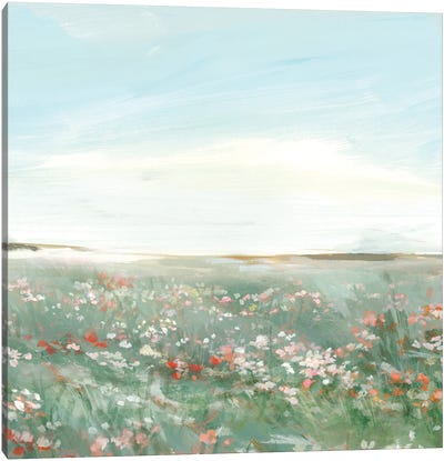 Wildflower Meadow I Canvas Art Print - Isabelle Z