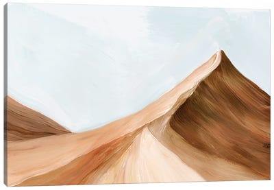Arizona Desert II Canvas Art Print - Western Décor