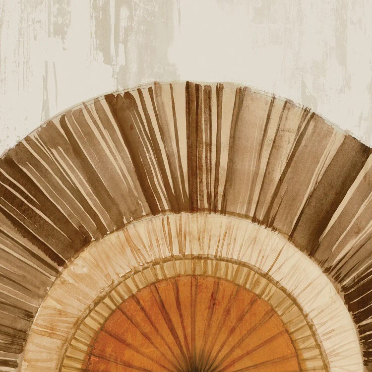 Arizona Fan I by Isabelle Z wall art