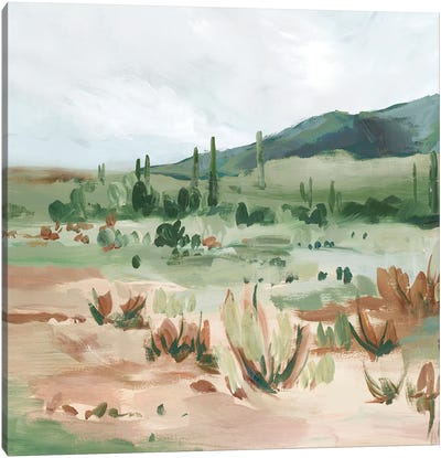 Cactus Field II Canvas Art Print - Desert Art