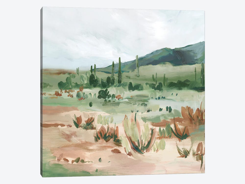 Cactus Field II by Isabelle Z 1-piece Canvas Art Print