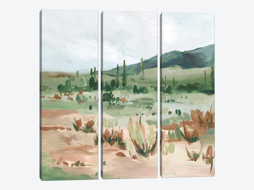 Cactus Field II by Isabelle Z 3-piece Canvas Print