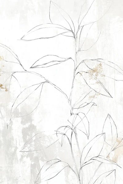 Minimalist Bohemian Decor: Mandola II by Isabelle Z