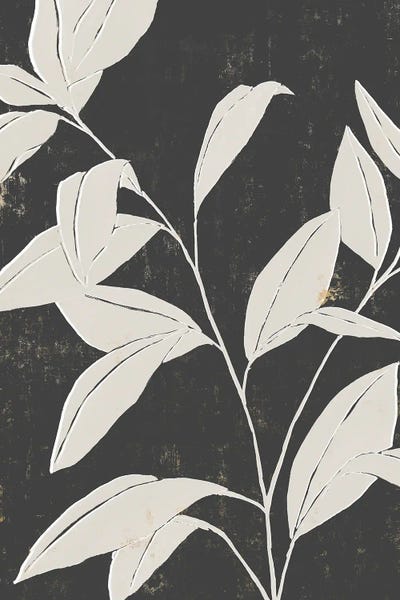 Minimalist Bohemian Decor: Noir Cuts II by Isabelle Z