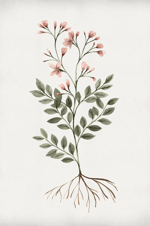 Rooted Floral I by Isabelle Z wall art