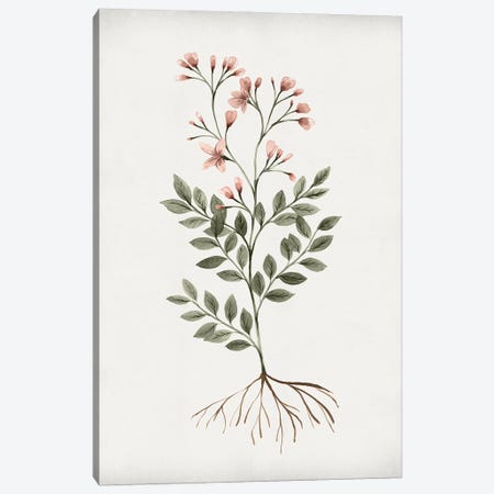 Rooted Floral I Canvas Print #ZEE671} by Isabelle Z Canvas Print