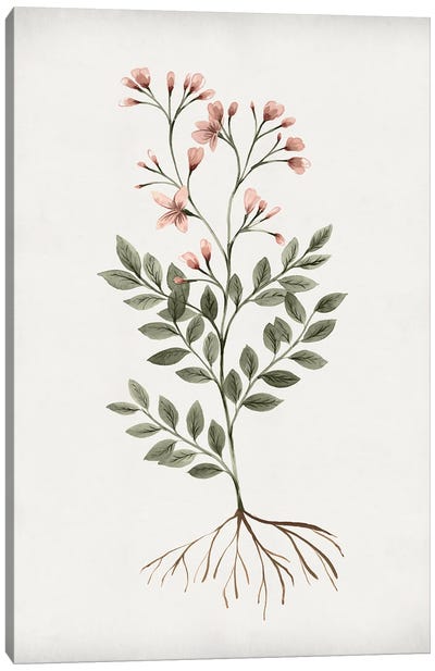 Rooted Floral I Canvas Art Print - Isabelle Z