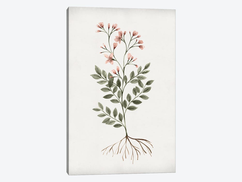Rooted Floral I by Isabelle Z 1-piece Canvas Wall Art