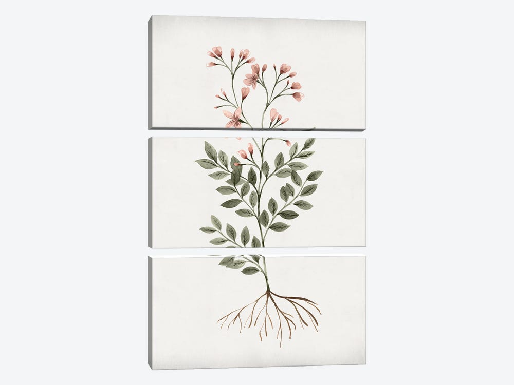 Rooted Floral I by Isabelle Z 3-piece Canvas Wall Art