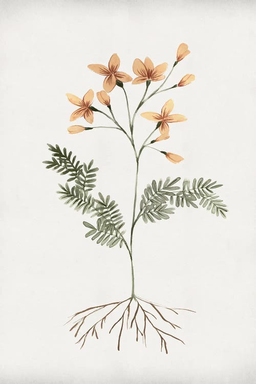 Rooted Floral II by Isabelle Z wall art