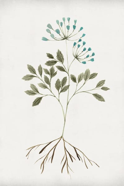 Rooted Floral III by Isabelle Z canvas print