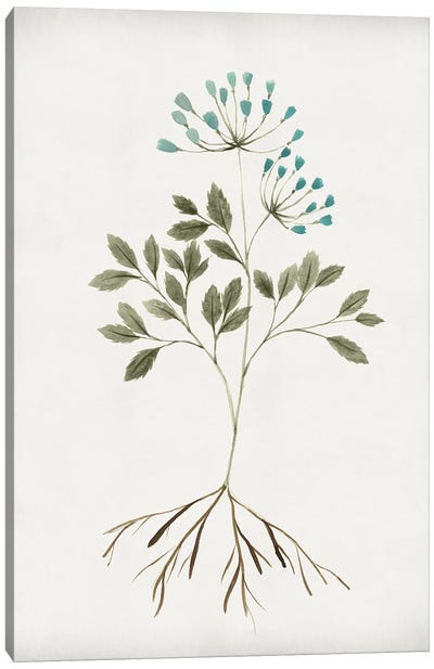 Rooted Floral III Canvas Art Print - Isabelle Z