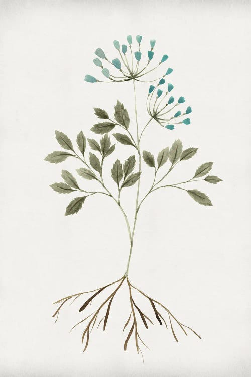 Rooted Floral III by Isabelle Z wall art