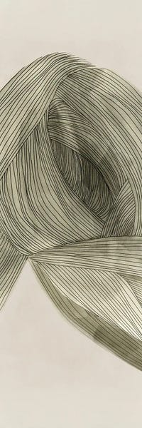 Linear Sage Pathways I