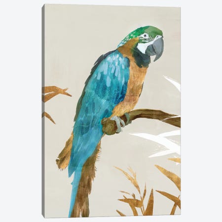 Blue Parrot I Canvas Print #ZEE91} by Isabelle Z Canvas Art